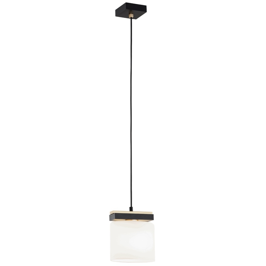 Argon 8276 - Lámpara colgante CANOA 1xE27/15W/230V negro