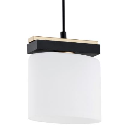 Argon 8276 - Lámpara colgante CANOA 1xE27/15W/230V negro