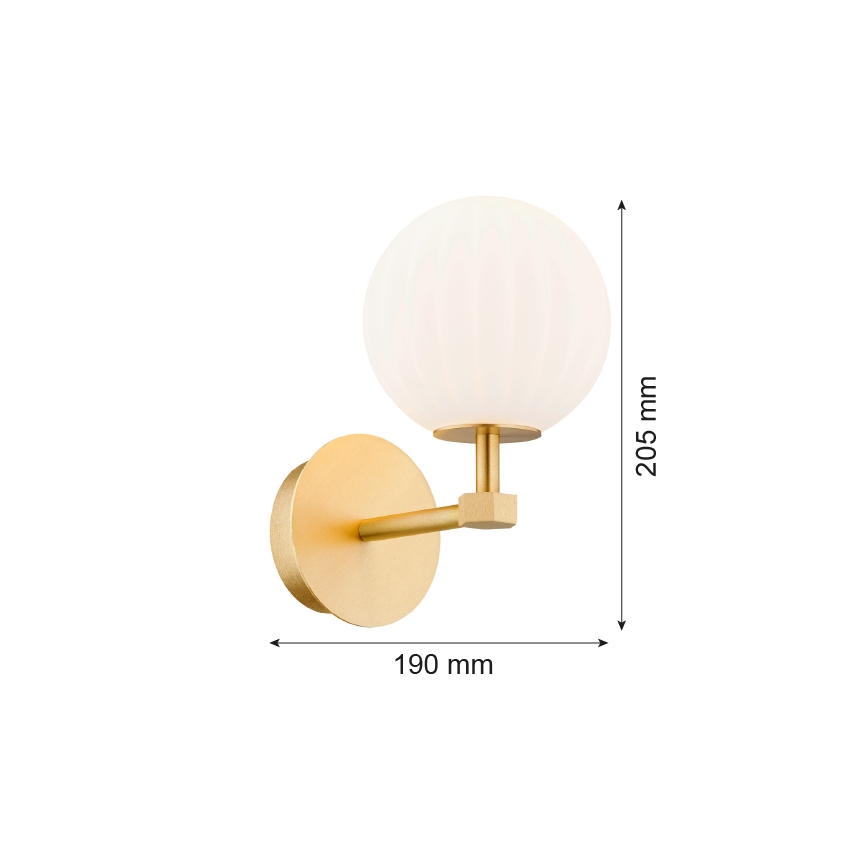 Argon 8502 - Aplique PALOMA 1xE14/7W/230V dorado/blanco