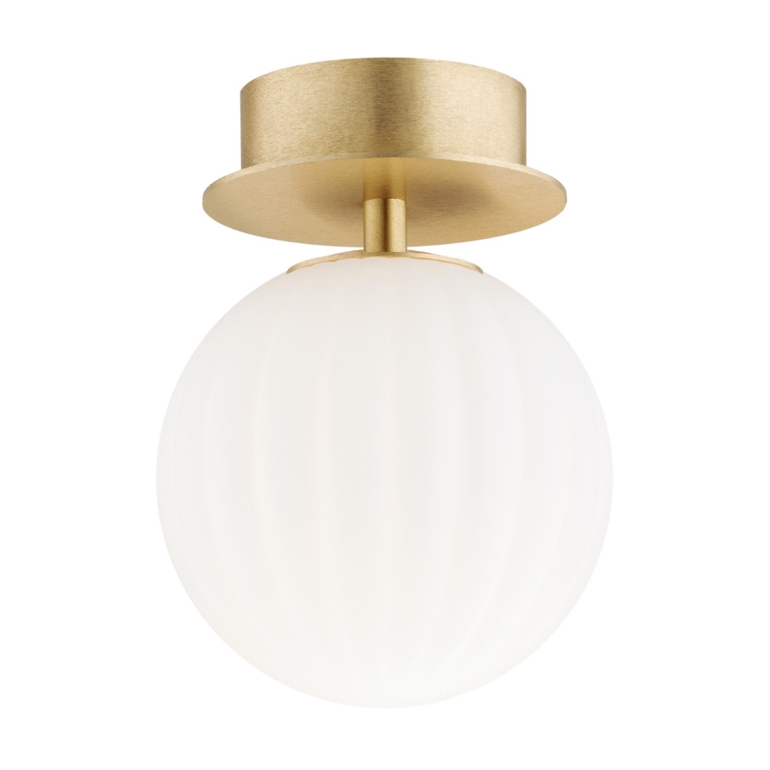 Argon 8504 - Aplique PALOMA 1xE14/7W/230V dorado/blanco