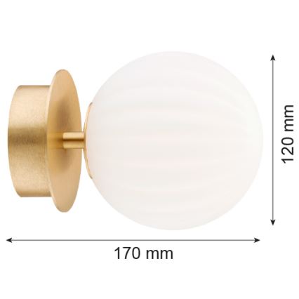Argon 8504 - Aplique PALOMA 1xE14/7W/230V dorado/blanco