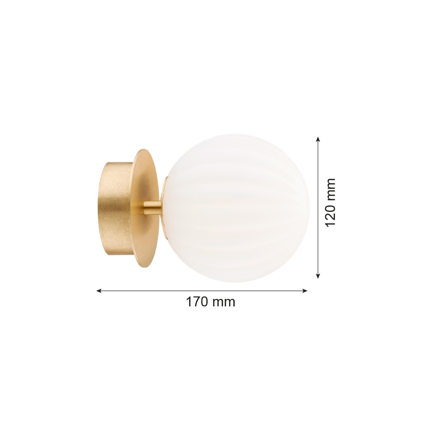 Argon 8504 - Aplique PALOMA 1xE14/7W/230V dorado/blanco