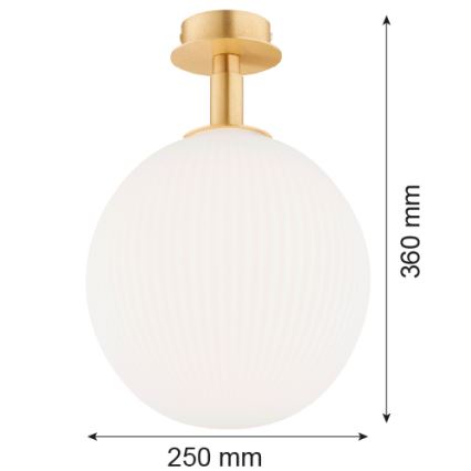 Argon 8505 - Plafón PALOMA 1xE27/15W/230V dorado/blanco