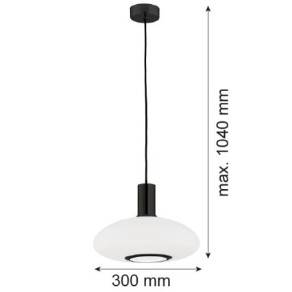 Argon 8565 - Lámpara colgante SAGUNTO PLUS 1xE27/15W/230V diá. 30 cm negro