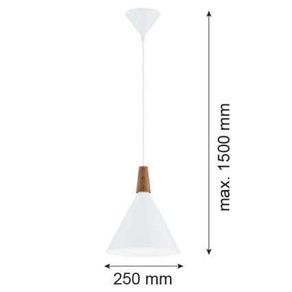 Argon 8630 - Lámpara colgante KEGEL 1xE27/15W/230V blanco