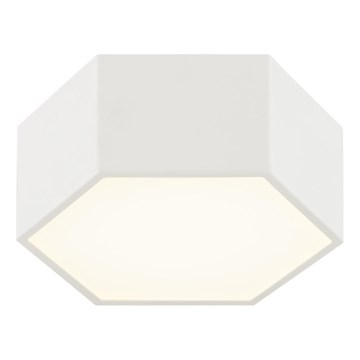 Argon 8781 - Plafón LED LIBERO LED/12W/230V 3000K blanco