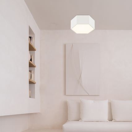 Argon 8781 - Plafón LED LIBERO LED/12W/230V 3000K blanco