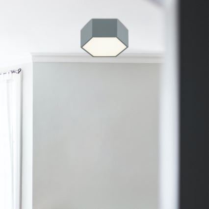Argon 8784 - Plafón LED LIBERO LED/12W/230V 3000K gris