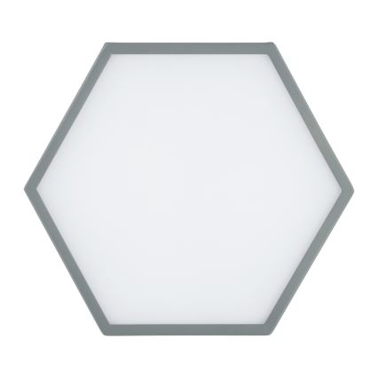 Argon 8784 - Plafón LED LIBERO LED/12W/230V 3000K gris