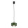 Argon 8815 - Lámpara colgante TEVO 1xG9/4,5W/230V verde