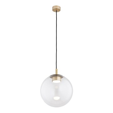 Argon 8828 - Lámpara colgante SACRAMENTO 1xGX53/8W/230V transparente/dorado