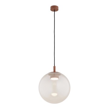 Argon 8829 - Lámpara colgante SACRAMENTO 1xGX53/8W/230V transparente/marrón