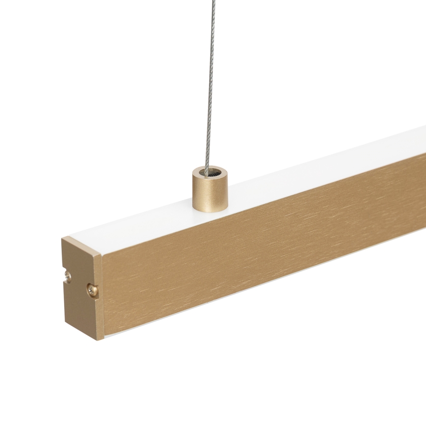 Argon 8836 - Lámpara LED colgante MIAMI LED/37W/230V 3000K dorado