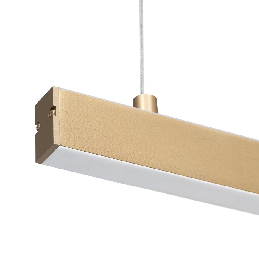 Argon 8836 - Lámpara LED colgante MIAMI LED/37W/230V 3000K dorado
