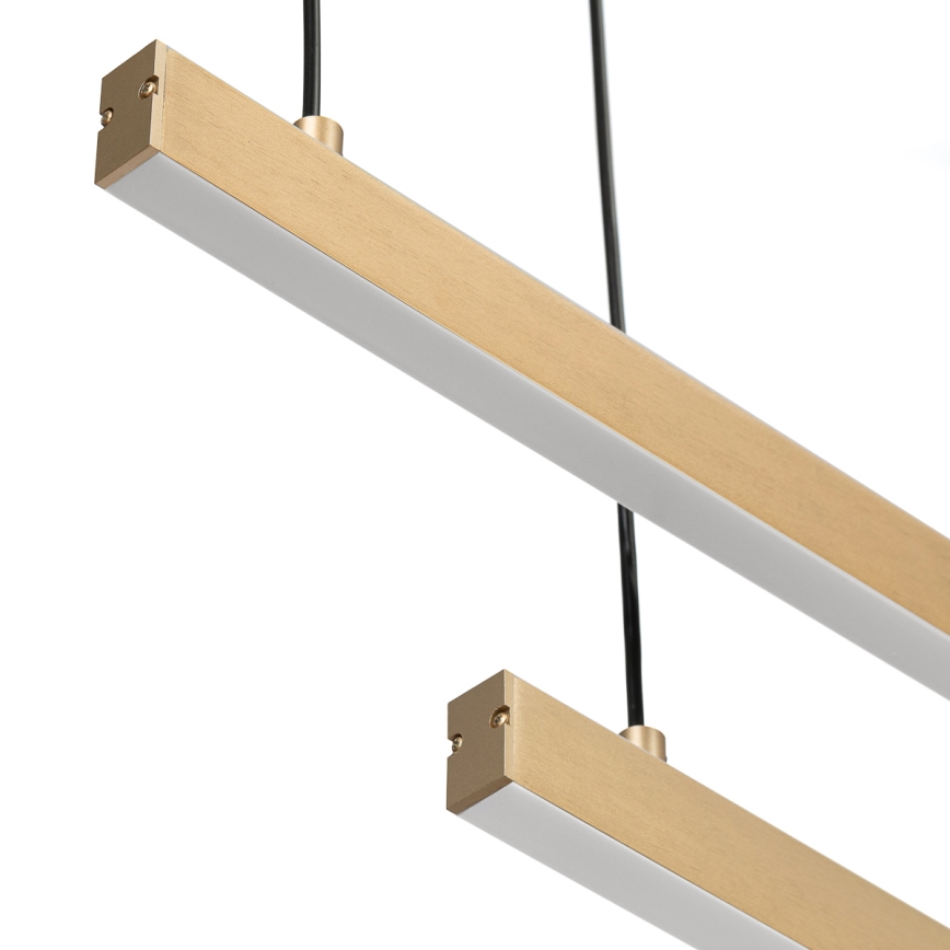 Argon 8839 - Lámpara LED colgante MIAMI LED/74W/230V 3000K dorado