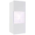 Armario de pared con iluminación LED PAVO 117x45 cm blanco brillante