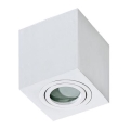 Azzardo AZ2822 - Plafón para el baño BRANT 1xGU10/50W/230V IP44