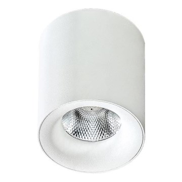 Azzardo AZ2845 - Plafón LED MANE 1xLED/10W/230V