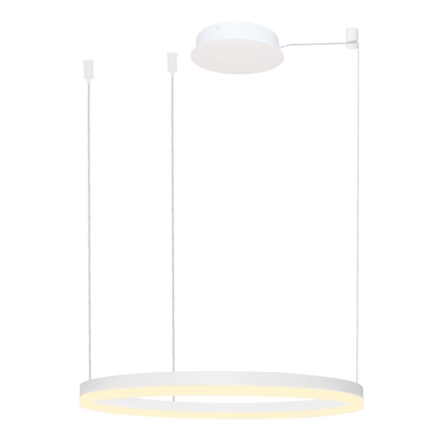 Azzardo AZ4959 - Lámpara de araña LED regulable sobre cable HALO LED/56W/230V Ø 80 cm blanco