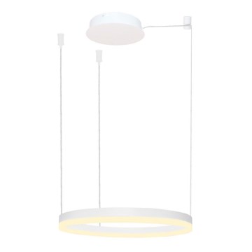 Azzardo AZ4967 - Lámpara de araña LED regulable HALO LED/47W/230V diá. 60 cm blanco