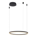 Azzardo AZ4968 - Lámpara de araña LED regulable sobre cable HALO LED/47W/230V Ø 60 cm negro