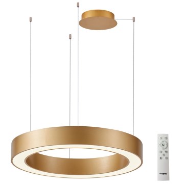 Azzardo AZ5054 - Lámpara de araña LED regulable MARCO LED/100W/230V dorado + control remoto