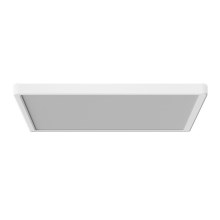 Azzardo AZ5361 - Plafón LED para baño con sensor PANKA LED/24W/230V IP40 blanco