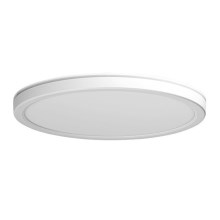 Azzardo AZ5365 - Luz de techo LED regulable para baño PANKA LED/24W/230V IP40 blanco