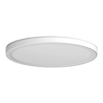 Azzardo AZ5367 - Luz de techo LED regulable para baño PANKA LED/24W/230V IP40 blanco