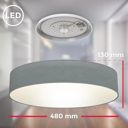 B.K. Licht 1393 - Plafón LED LED/20W/230V gris