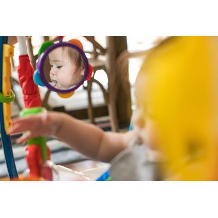 Baby Einstein - Saltador 2en1 NEIGHBORHOOD SYMPHONY 3xAA