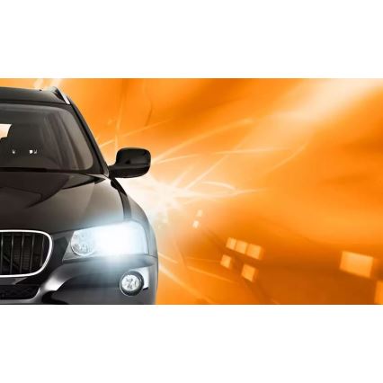 Bombilla de xenón para coche Philips XENON VISION D1S PK32d-2/35W/85V 4300K