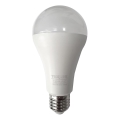 Bombilla LED A65 E27/18W/230V 4200K