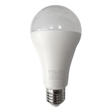 Bombilla LED A65 E27/18W/230V 4200K