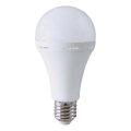 Bombilla LED con modo de emergencia A80 E27/12W/230V 4000K