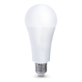 Bombilla LED E27/22W/230V 4000K