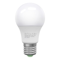 Bombilla LED ECOLINE A60 E27/10W/230V 3000K - Brilagi