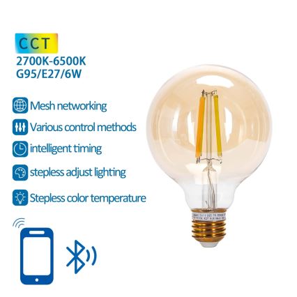 Bombilla LED regulable FILAMENT MESH Inteligente G95 E27/6W/230V 2700-6500K - Aigostar