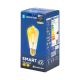 Bombilla LED FILAMENT ST64 E27/6W/230V 2700-6500K - Aigostar