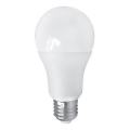 Bombilla LED PITT A60 AC/DC E27/12W/24V 4000K