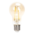 Bombilla LED regulable FILAMENT A60 E27/6W/230V 2200K - Aigostar