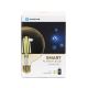 Bombilla LED regulable FILAMENT G125 E27/6W/230V 2700-6500K Wi-Fi - Aigostar