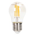 Bombilla LED regulable FILAMENT G45 E27/4W/230V 2200K - Aigostar