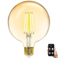 Bombilla LED regulable FILAMENT MESH Inteligente G125 E27/6W/230V 2700-6500K - Aigostar