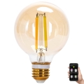 Bombilla LED regulable FILAMENT MESH Inteligente G80 E27/6W/230V 2700-6500K - Aigostar