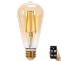 Bombilla LED regulable FILAMENT MESH Inteligente ST64 E27/6W/230V 2700-6500K - Aigostar