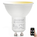 Bombilla LED regulable GU10/6,5W/230V 2700-6500K - Aigostar