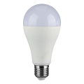 Bombilla LED regulable SAMSUNG CHIP A65 E27/17W/230V 6400K