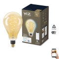 Bombilla LED regulable VINTAGE FILAMENT PS160 E27/6,5W/230V 2000-5000K CRI 90 Wi-Fi -WiZ