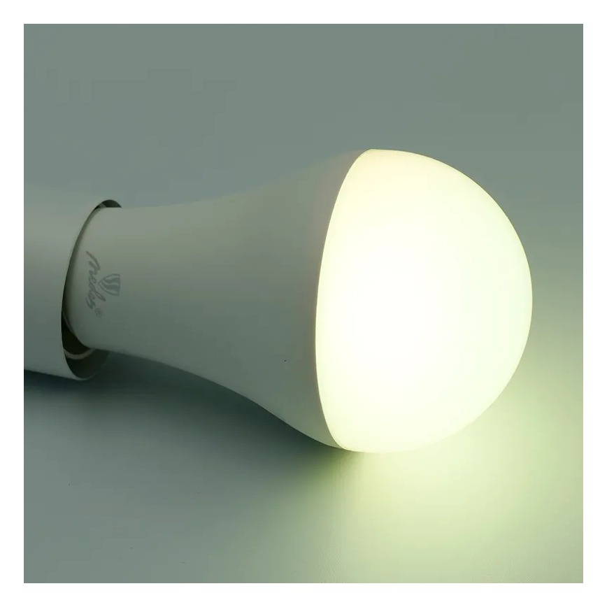 Bombilla LED RGBW regulable A60 E27/15W/230V 2700-6500K Wi-Fi Tuya